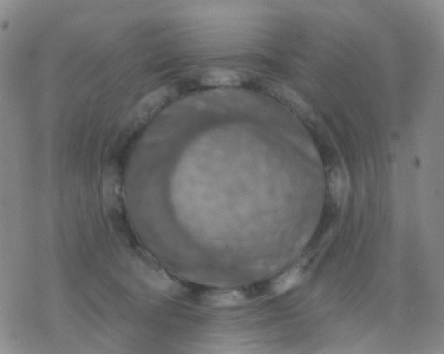 X0000074300322200609081923