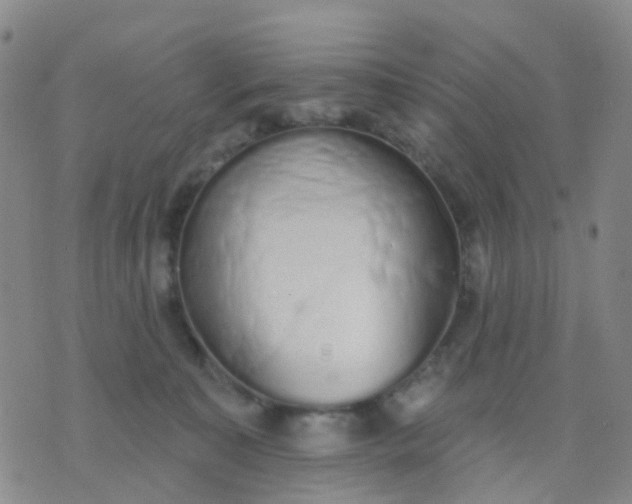 X0000074300323200609081923