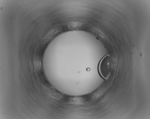 X0000074300324200609081923