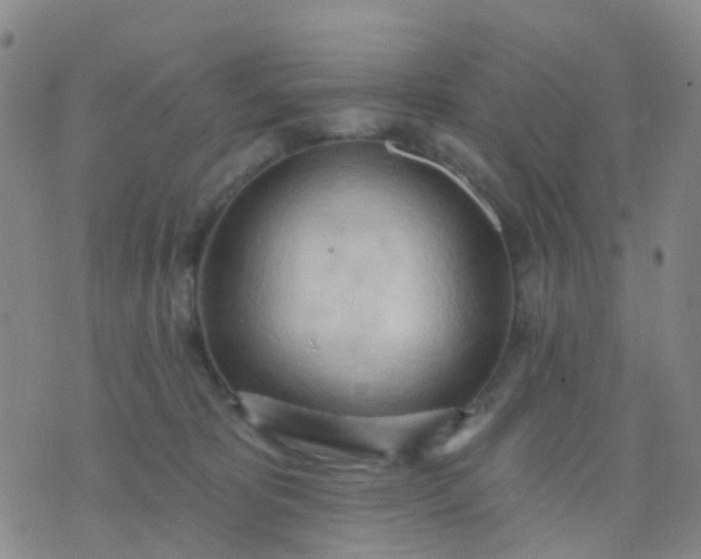 X0000074300325200609081923