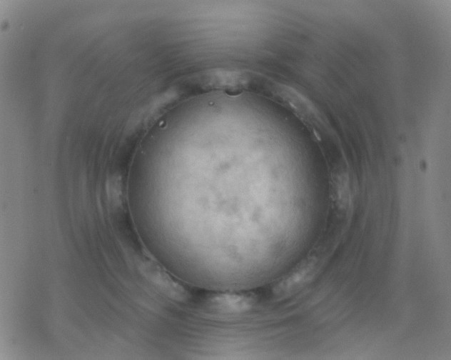 X0000074300326200609081923