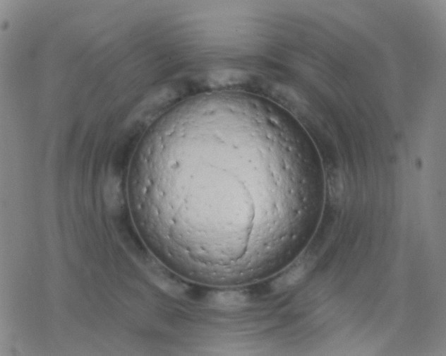 X0000074300327200609081923