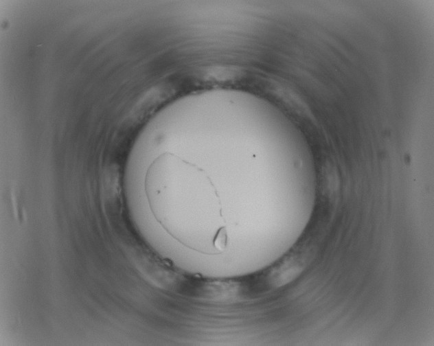 X0000074300328200609081923