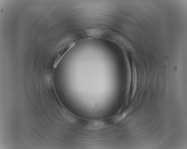 X0000074300329200609081923