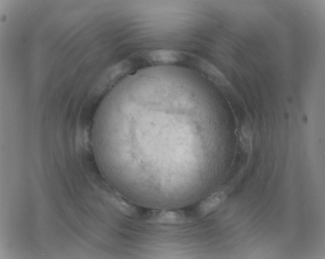 X0000074300330200609081923