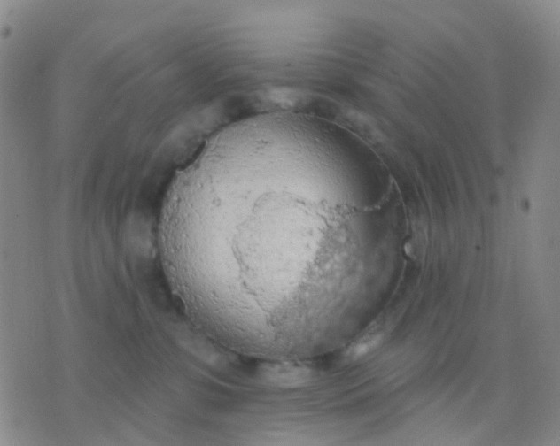 X0000074300331200609081923