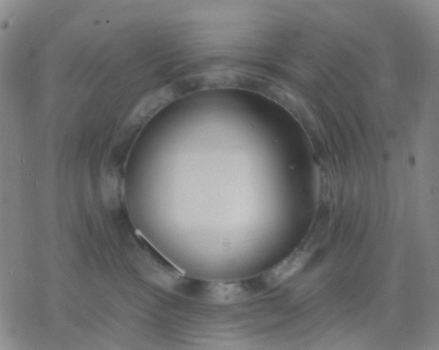 X0000074300333200609081923