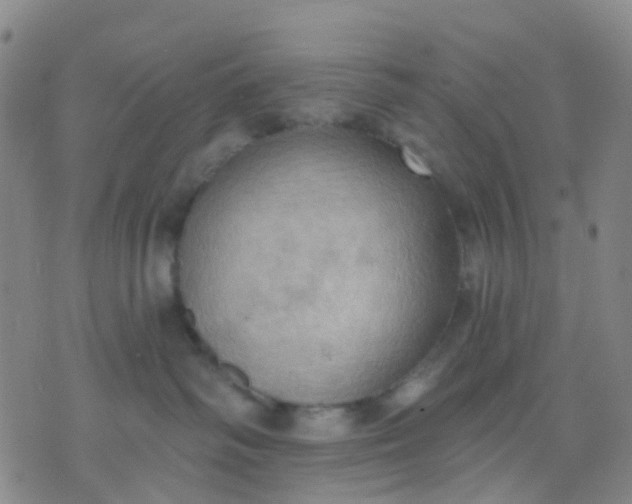 X0000074300334200609081923