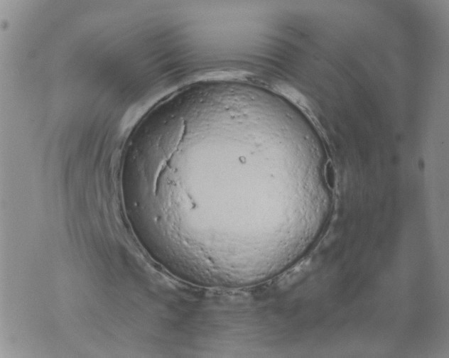 X0000074300337200609081922