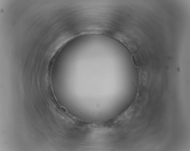 X0000074300338200609081922