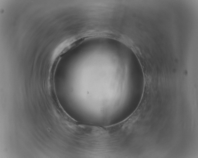 X0000074300340200609081922