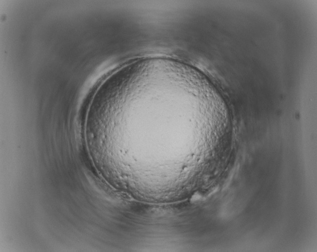 X0000074300343200609081923