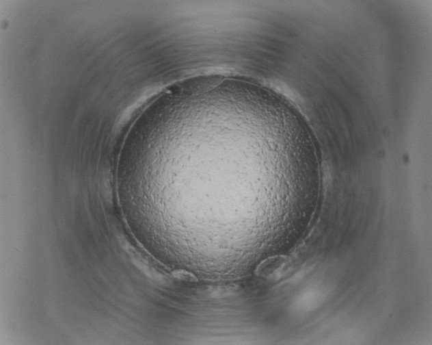 X0000074300345200609081923