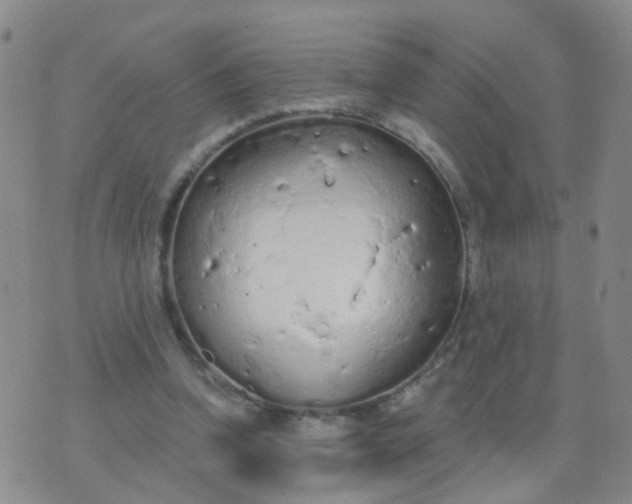 X0000074300346200609081923