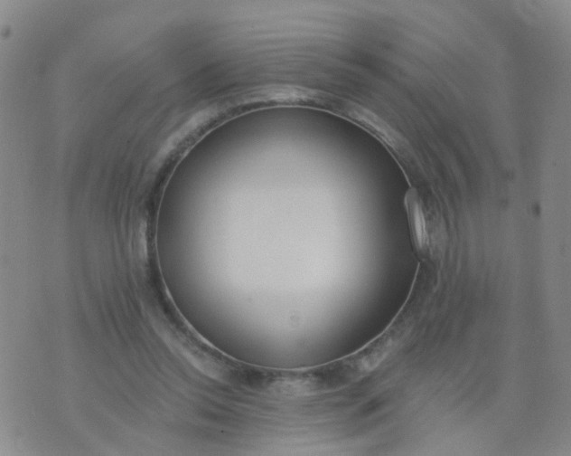 X0000074300350200609081923