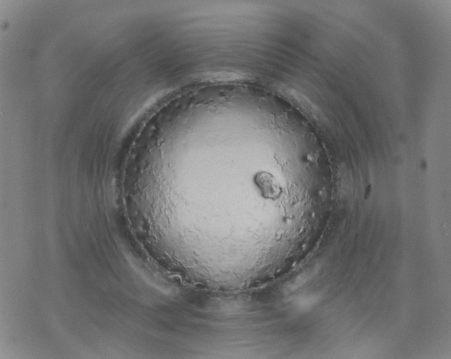 X0000074300351200609081923