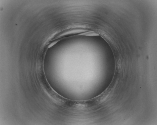 X0000074300352200609081923