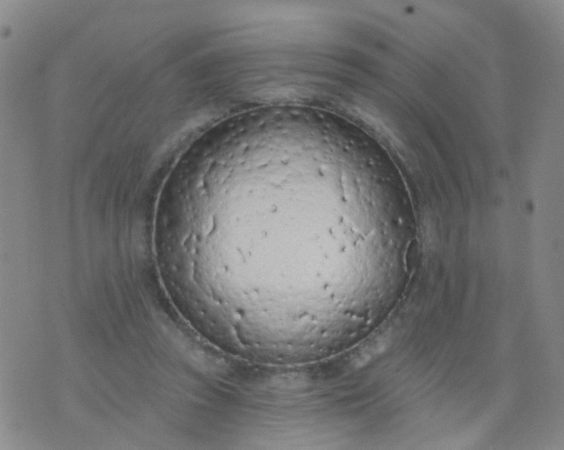 X0000074300353200609081923