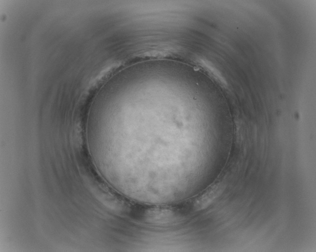 X0000074300354200609081923