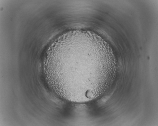 X0000074300355200609081923