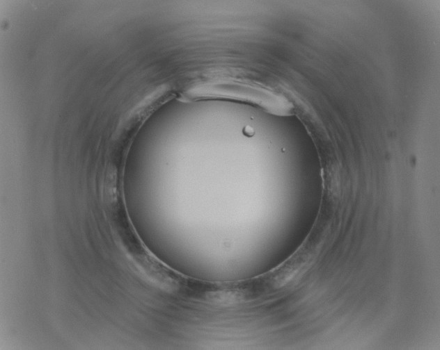 X0000074300356200609081923