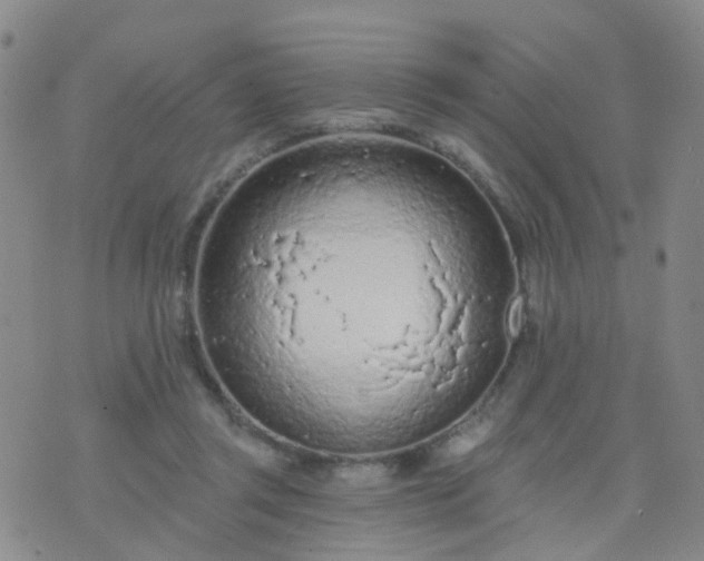 X0000074300357200609081923