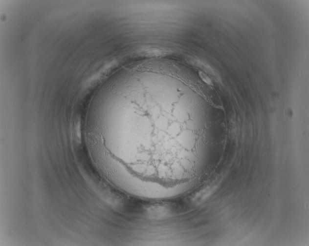 X0000074300358200609081923