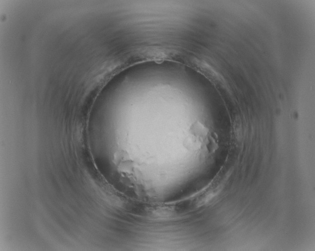 X0000074300359200609081923