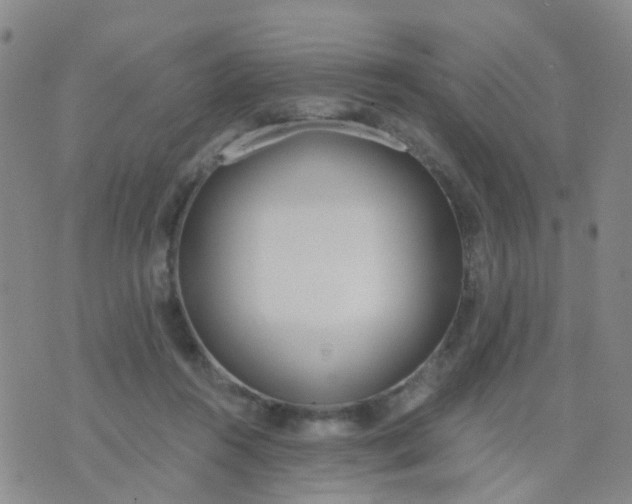 X0000074300360200609081923