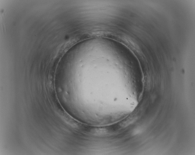 X0000074300361200609081923