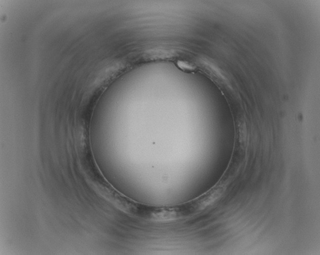 X0000074300362200609081923