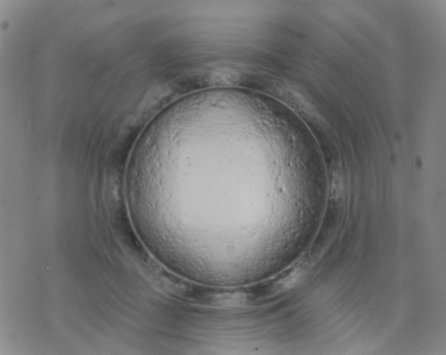 X0000074300363200609081923