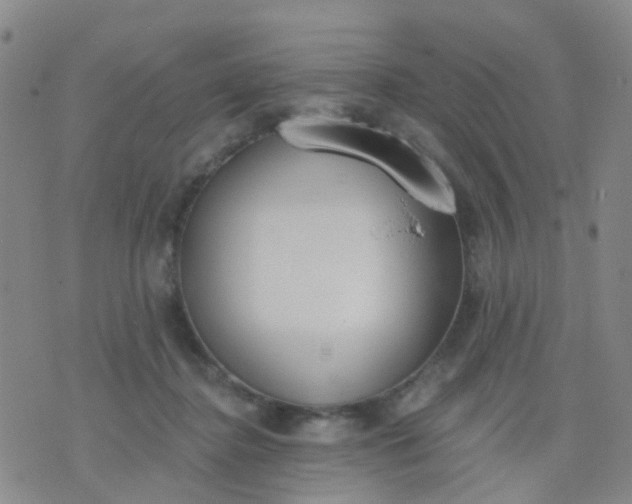 X0000074300364200609081923