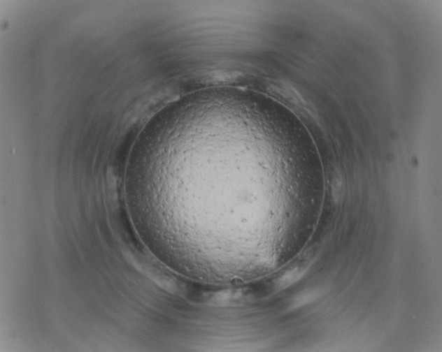 X0000074300366200609081923