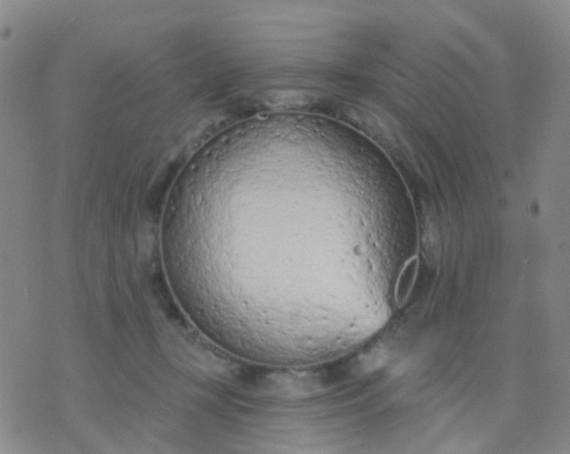 X0000074300367200609081923