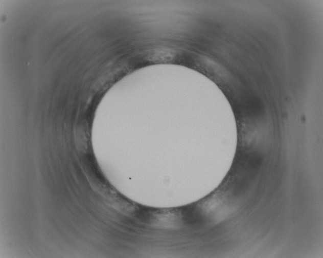 X0000074300370200609081923