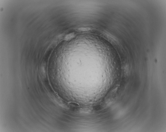 X0000074300373200609081923