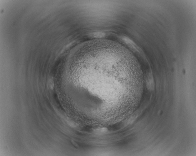 X0000074300374200609081923