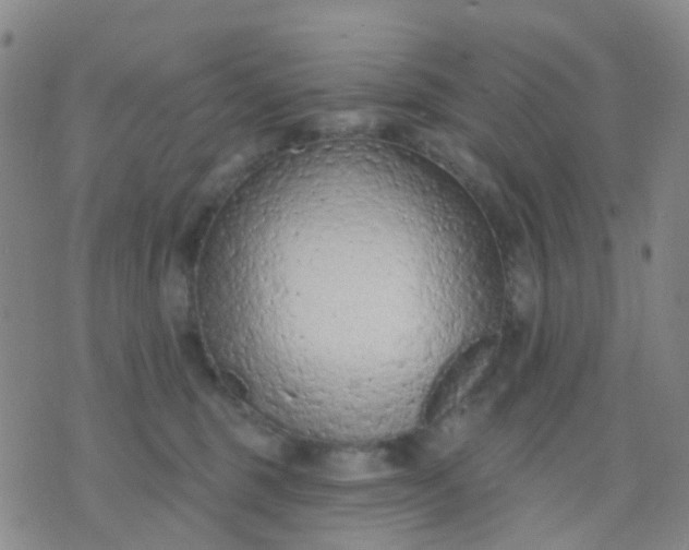 X0000074300375200609081923