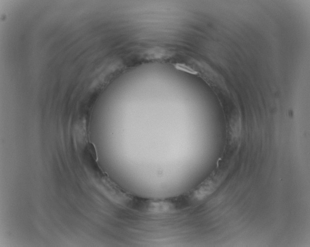 X0000074300376200609081923