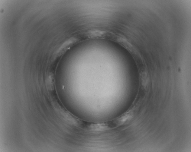 X0000074300378200609081923