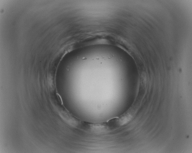 X0000074300380200609081923