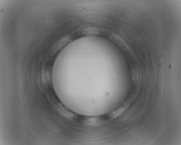 X0000074300382200609081923