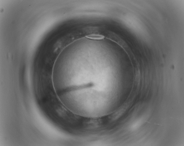 X0000074300383200609081923