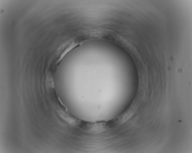 X0000074300384200609081923