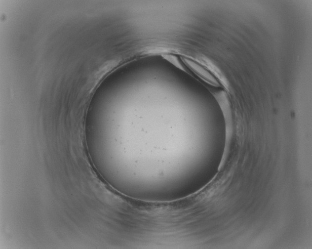 X0000074300385200609081922