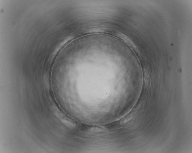 X0000074300386200609081922