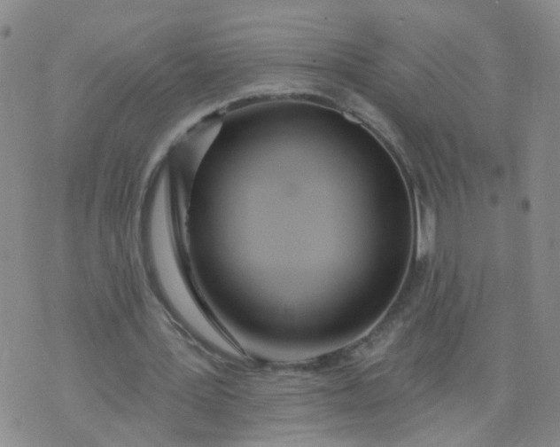 X0000074300387200609081922