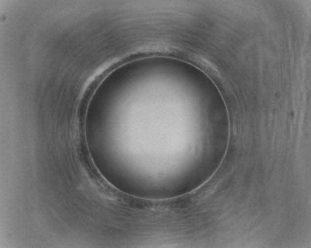 X0000074300388200609081922