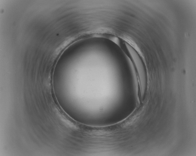 X0000074300389200609081922